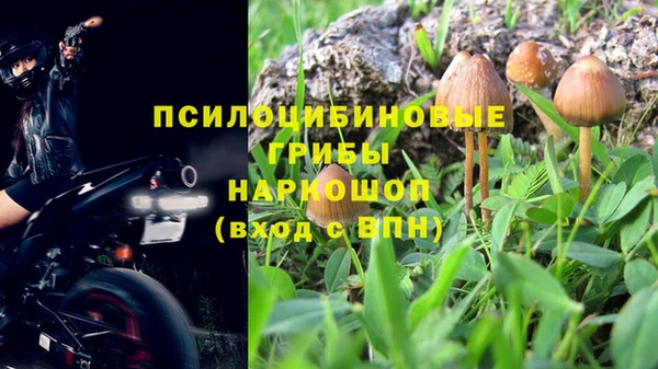крисы Нея