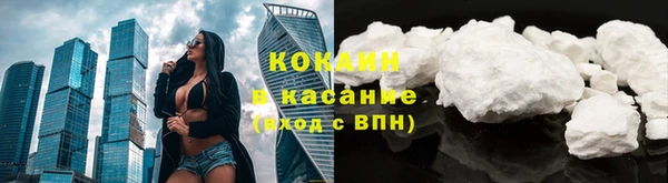 крисы Нея