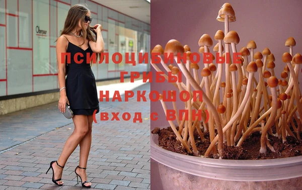 крисы Нея