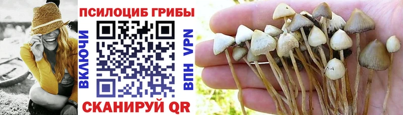 Галлюциногенные грибы Magic Shrooms Купить Дмитровск